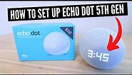 How To Set Up Amazon Echo Dot 5th Generation