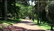 The Durban Botanic Gardens (South Africa)