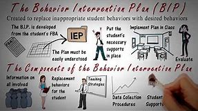 Behavior Intervention Plan: BIP Overview