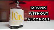 Does Kin Euphorics Really Work | Taste Test And Review (alcohol alternative)