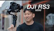 DJI RS3 MINI | The $369 UltraLight Gimbal for Your Full Frame Camera
