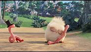 The Angry Birds Movie - The Early Hatchling Gets the Worm (Hatchling Short)