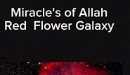 Miracle's ofAllah Red Rose Nebula #redrose#space#galaxy#Nasa