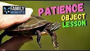 OBJECT LESSON ABOUT PATIENCE