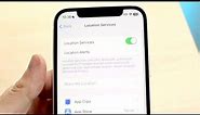 How To Turn On Location Services On iPhone!