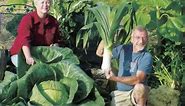 The Secrets of Growing Giant Vegetables
