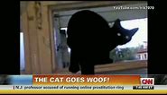CNN: Cat barks until busted, then meows