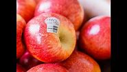 Apples 101 - About Envy Apples (Characteristics)