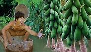 Floods inundate forests And papaya tree Papaya fruit floating in water - Love Food