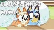 Bluey and Bingo Memes - Cutest Gifs