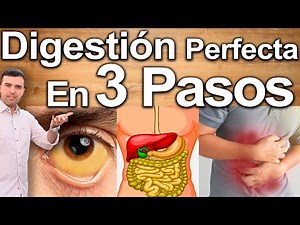 Digestión Perfecta En 3 Pasos – Adiós Gastritis, Gases y Dolor Estomacal Como Eliminar Indigestión