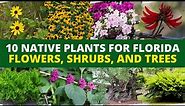 10 Native Plants for Florida: Flowers, Shrubs, and Trees 🌼🌲🌳