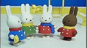 Miffy and Friends: Something Surprising Happened! (2004 Sony Wonder DVD)