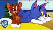 Tom & Jerry | Jerry's Funniest Moments! 🐭 | WB Kids