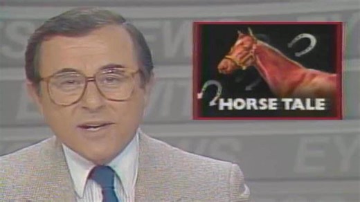 The Many Faces Of Irv! For 34 remarkable years (1964 to 1998), Irv Weinstein graced Western New York television, achieving iconic status. Irv's unique style and presence remain unmatched—there will never be another like him. #BuffaloBroadcasting #BuffaloTelevision #Irv #WKBWTV #BuffaloTV #Buffalo | Buffalo Broadcasting