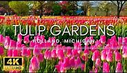 5 MILLION TULIPS! - 4K Walk Through the Tulip Gardens in Holland, Michigan 2023