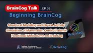 BrainCog 32. Modeling and Simulation of Mammalian Corticothalamic Functional Minicolumn on BrainCog