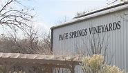 Verde Valley winery uses solar energy to power all operations