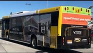 Kinetic Gold Coast No. #746- Volvo B12BLE (ZF) Bustech VST