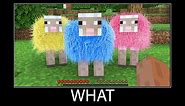 Minecraft wait what meme part 64 realistic minecraft sheep fur colors