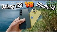 Samsung Galaxy S23 vs iPhone 14 CAMERA TEST - Detailed Photo and Video Comparison