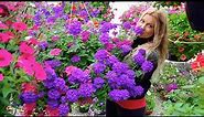 The Most Beautiful Hanging Basket Tour with Jen | 100's of Baskets to see!