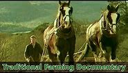 Traditional Farming Documentary -- Farm life in Ireland during the 1930s - "Preserving the Past"
