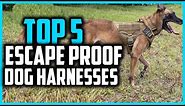 ✅Top 5 Best Escape Proof Dog Harnesses in 2024