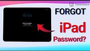 Forgot iPad Password? How to Unlock iPad without Password