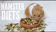 What To Feed Your Hamster | Hamster diets