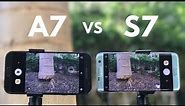 Samsung Galaxy A7 (2017) vs Galaxy S7 Edge Camera Comparison