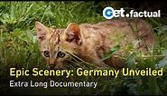 Wild Germany: Scenic Journey from the Black Forest to the Coastlines | Extra Long Documentary