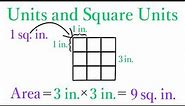 Lesson 03 Units and Square Units - SimpleStep Learning