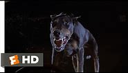 Fletch (5/10) Movie CLIP - The Doberman (1985) HD