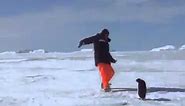 Angry Penguin Attacks!