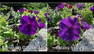 Samsung Galaxy A50 vs Galaxy S10 Plus Camera Comparison