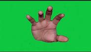 Hand Reaching Out Green screen