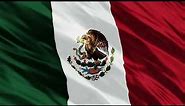 Mexican Flag waving background 4K video free download