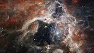 A Cosmic Tarantula Caught By The Webb Space Telescope