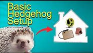 Hedgehog Cage Basic Setup - Bin Style! (the best)