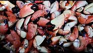 How To Cook Stone Crab Claws