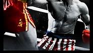Rocky IV: Rocky vs. Drago The Ultimate Director's Cut