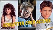 90s Child Actors You Forgot All About. Where are they now? Furlong/Lipnicki/McKellar/JTT/Ali/Porter