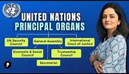 United Nations Principal Organs | UN General Assembly | UN Security Council @ParchamClasses​