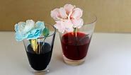 How to make a Colourful flowers science experiment