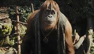 The Kingdom Of The Planet Of The Apes Trailer: Is That Doctor Zaius? - Looper