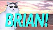 HAPPY BIRTHDAY BRIAN! - EPIC CAT Happy Birthday Song