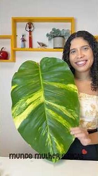 Learn how to make decor with a large leaf. #brilliantideas #diy #crafts