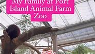 My Grandchildren enjoyed the zoo amazed to see different kinds of animals. #fbreelsfypシ゚viralvideo. #followerseveryone. #friendsnewviewers. #starsenderseverywhere. #dont forget to like and share thank you so much | Pambansang Momsy