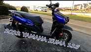 2022 Yamaha Zuma 125